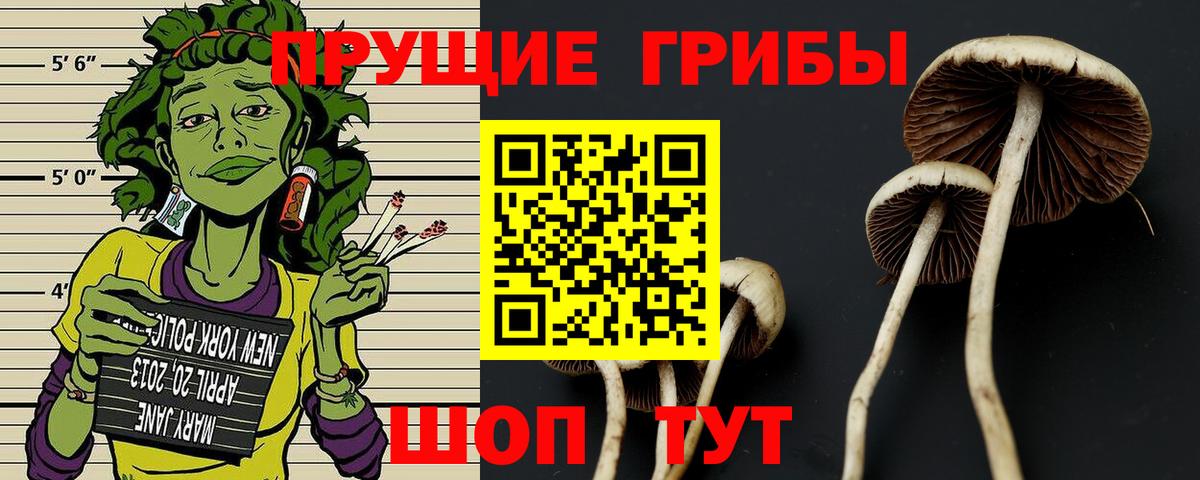 где купить наркоту  Вход с VPN  Рославль  Галлюциногенные грибы мицелий  Галлюциногенные грибы Cubensis 